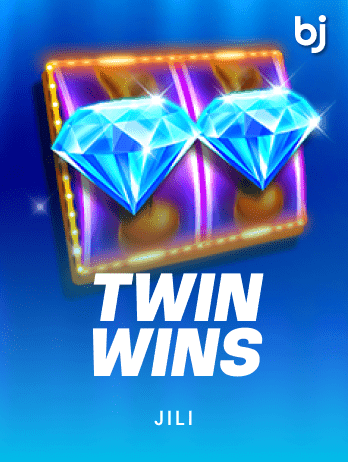 TWIN WINS screenshot